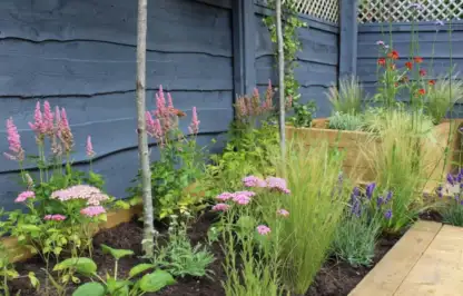 A contemporary garden designed by Garden Ninja Award Winnign Garden Blogger and Designer