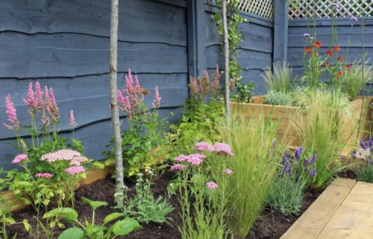 A contemporary garden designed by Garden Ninja Award Winnign Garden Blogger and Designer