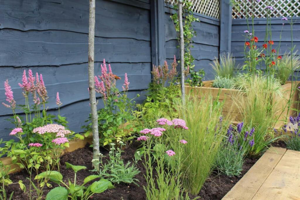 A contemporary garden designed by Garden Ninja Award Winnign Garden Blogger and Designer