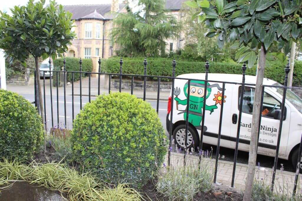 Garden Ninjas design van with clipped box balls in front of it