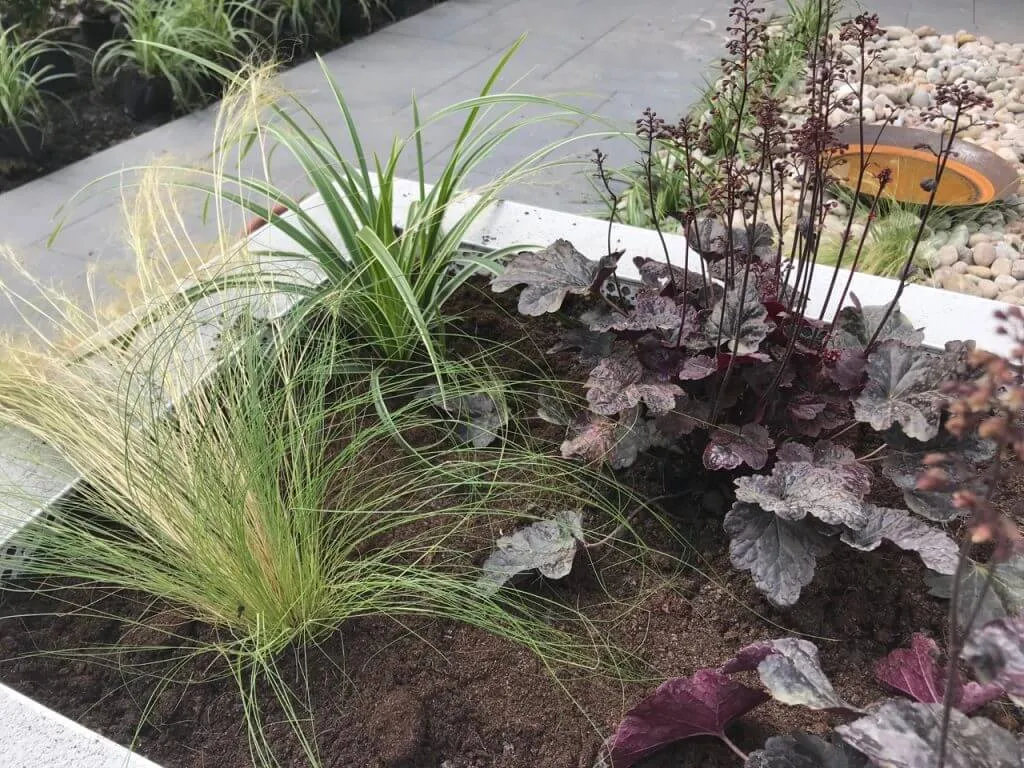 A modern k rendered raised bed with plants in