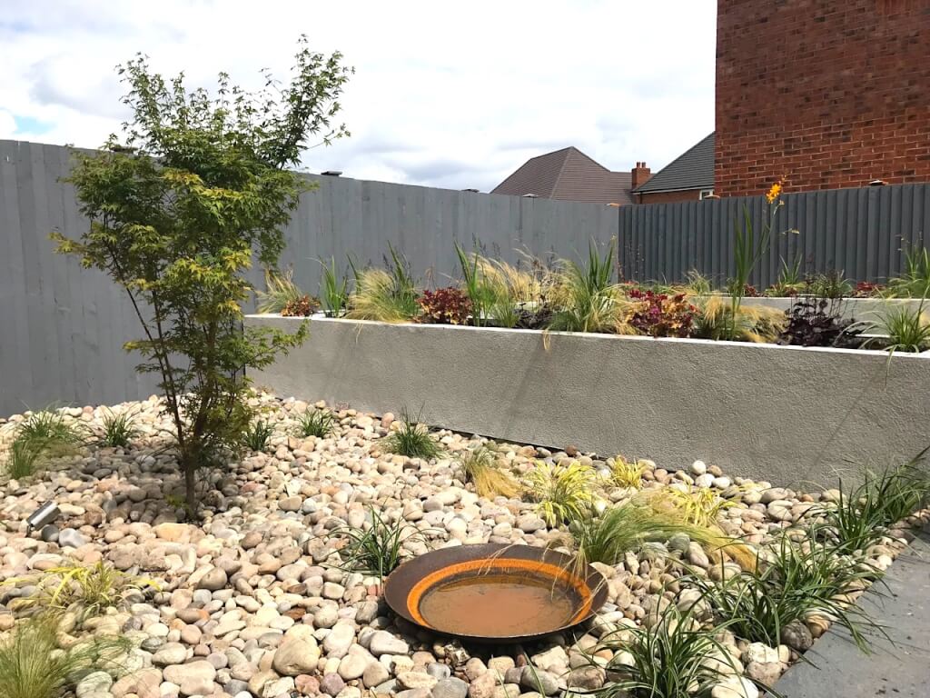 An acer tree in a gravel garden by Garden Ninja