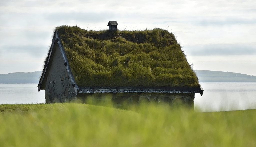 A turfed green roof