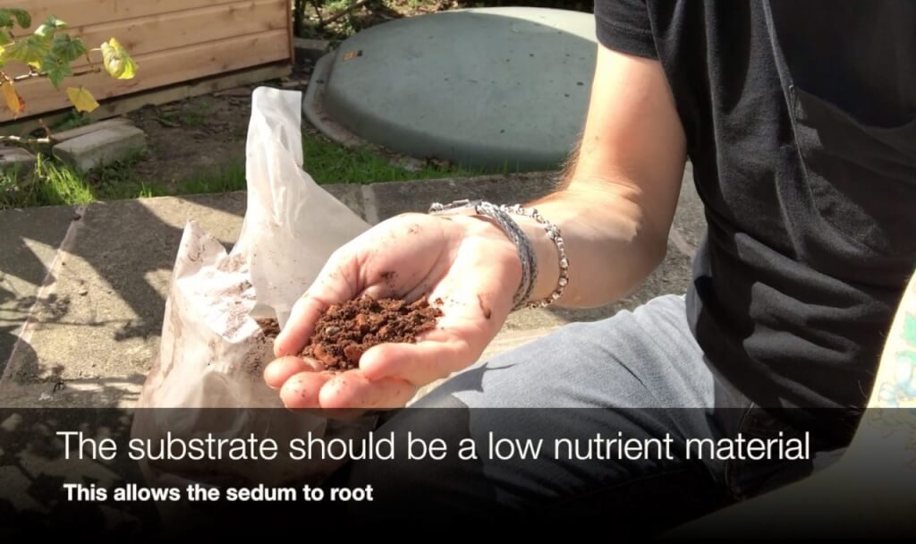 Substrate in a hand for a green roof