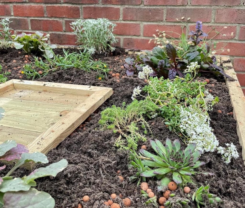 DIY Green roof