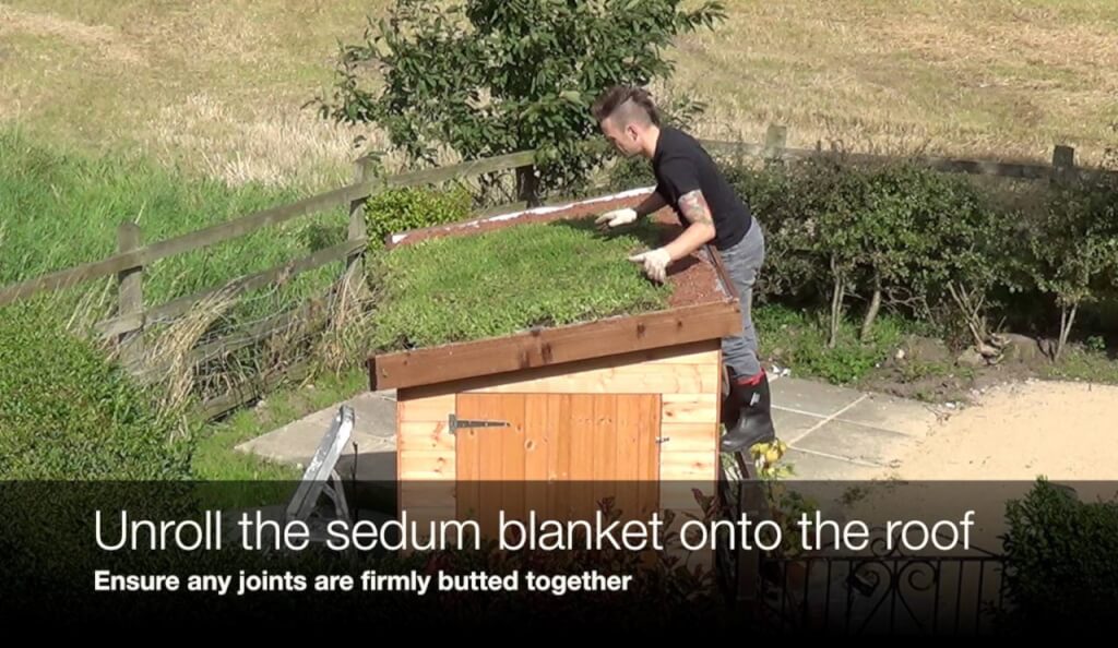 Green roof installation