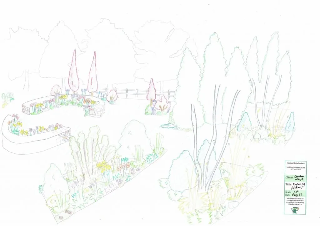 A hand drawn garden design render by Lee Burkhill the Garden Ninja