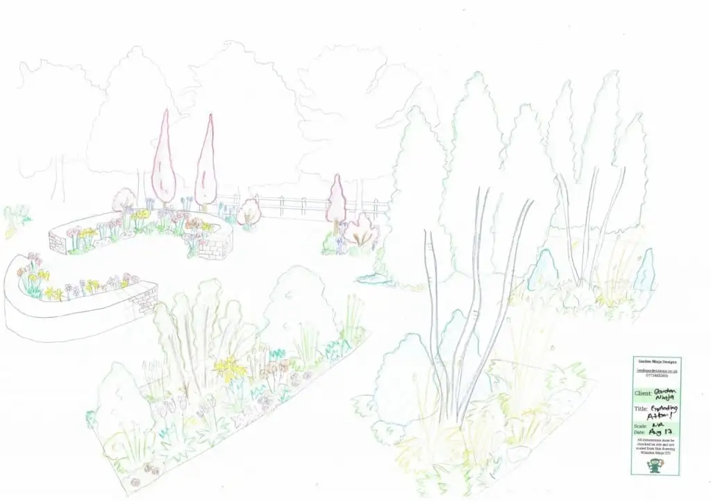 A hand drawn garden design render by Lee Burkhill the Garden Ninja