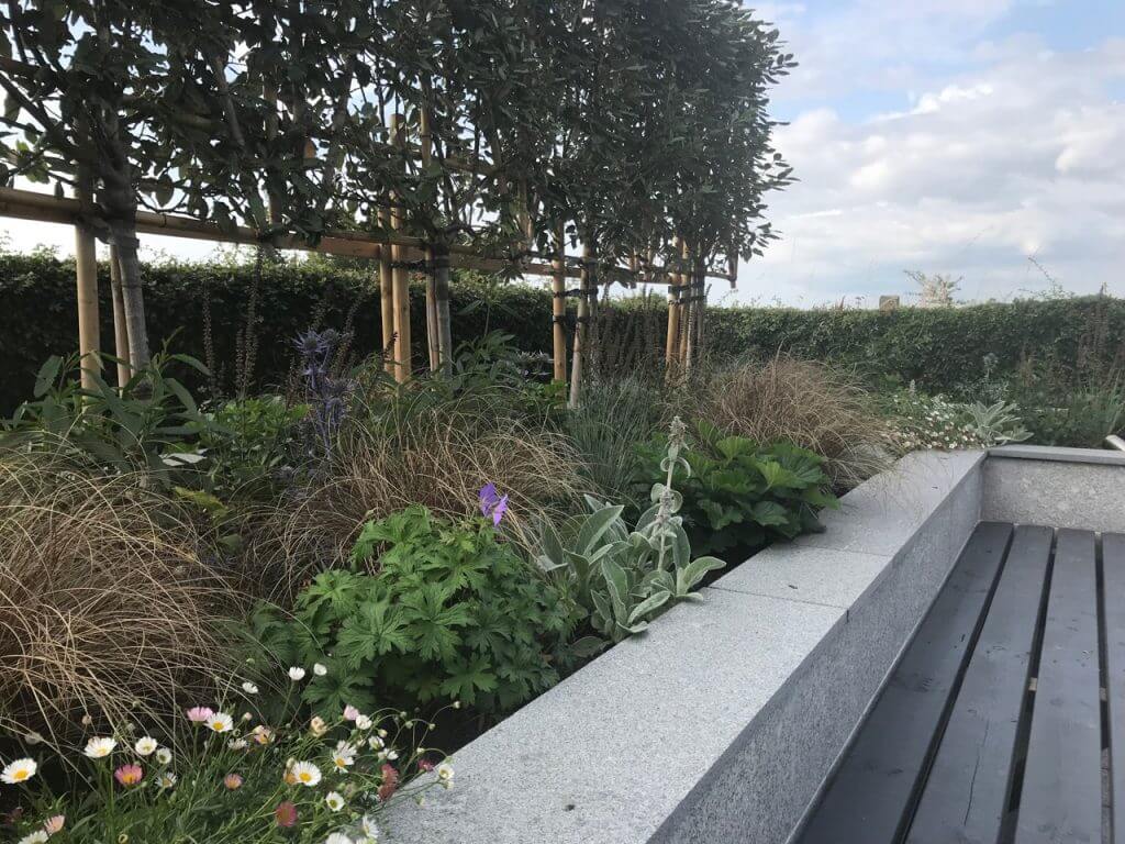Seated garden area with granite raised beds and plants