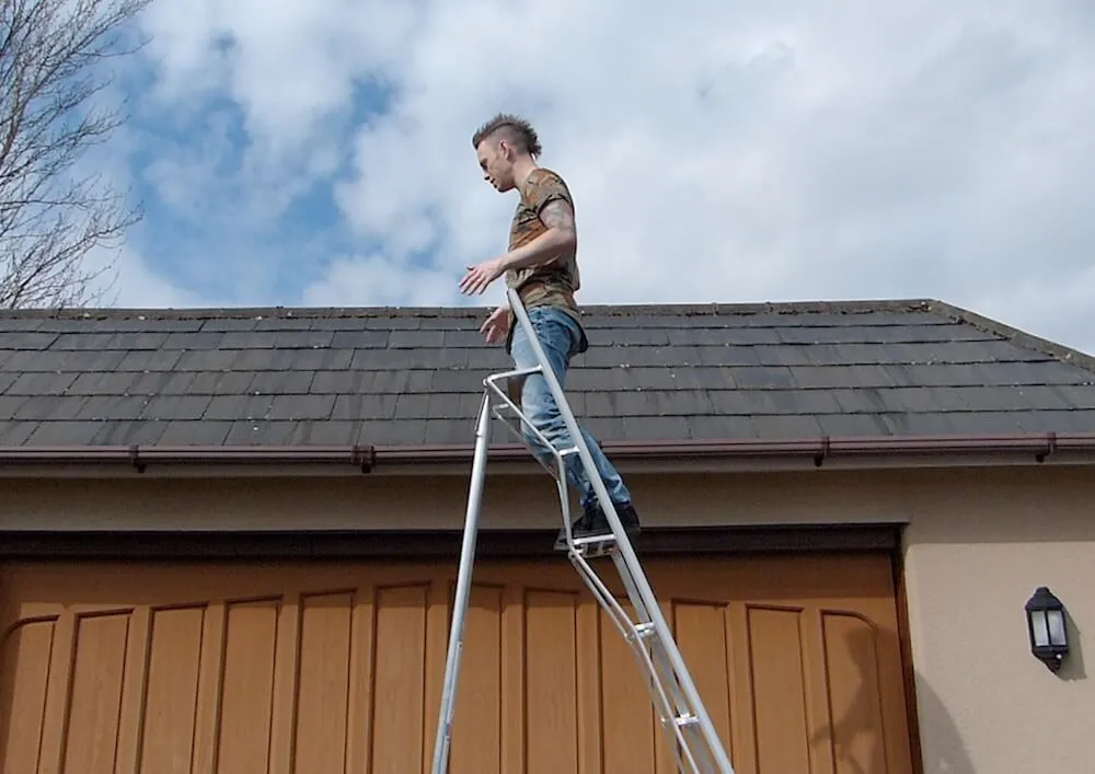 Garden blogger Lee Burkhill up a henchman ladder