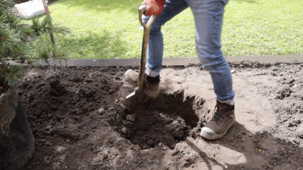 Lee Burkhill Garden Ninja digging a hole for a tree
