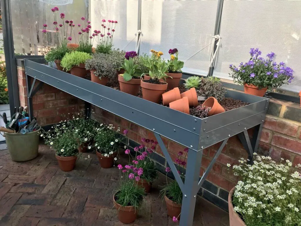 Alpines in pots in an Alpine house
