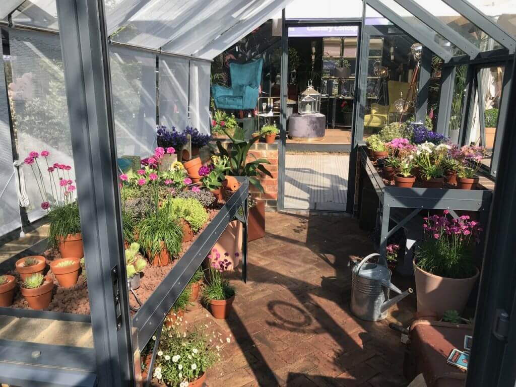 Alpines on display in a glasshouse