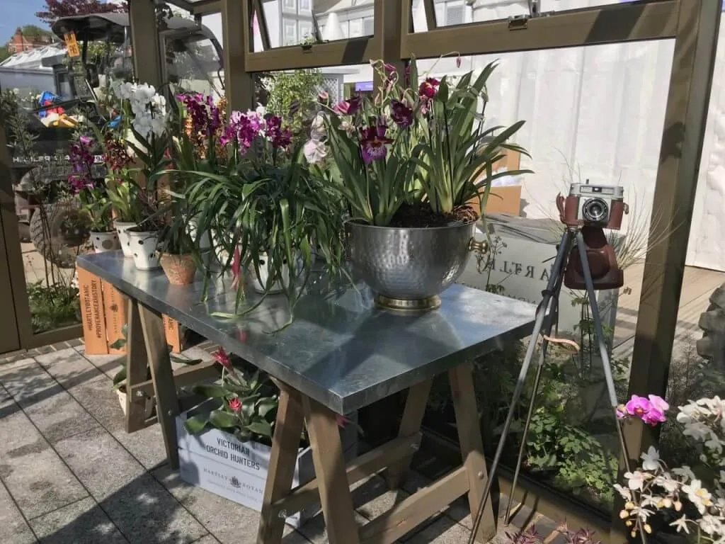 Orchid house