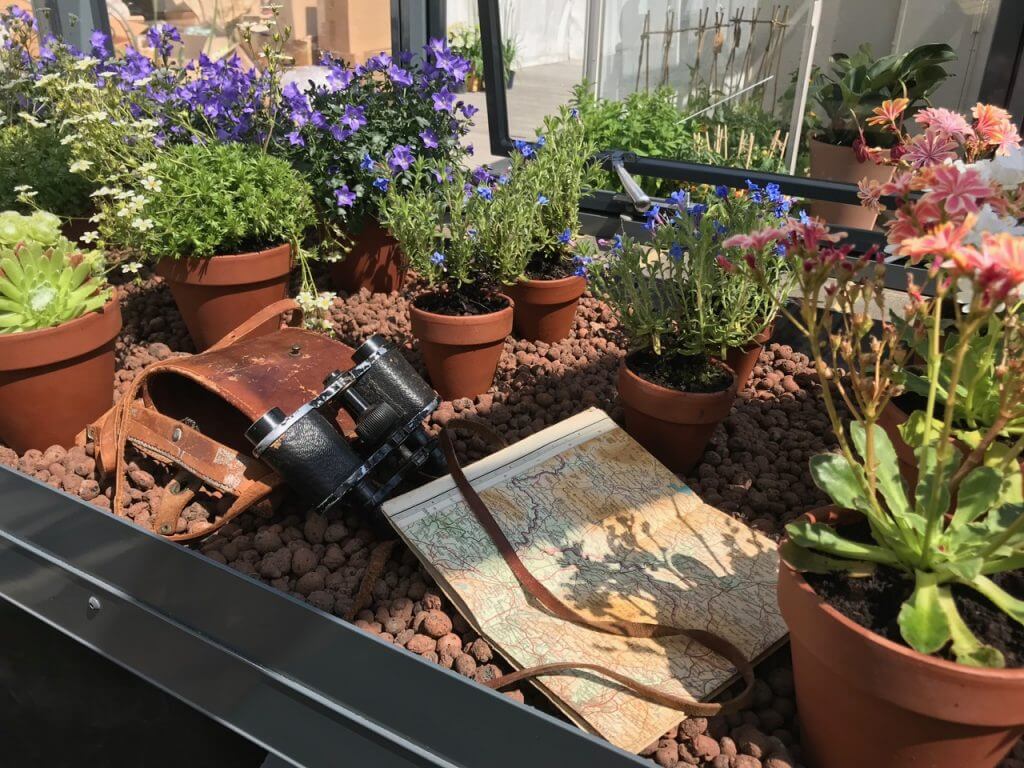 Plant explorer chelsea stand
