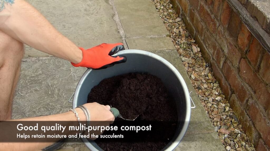compost mix for succulents