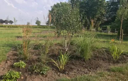 The Exploding atom garden wild border after planting