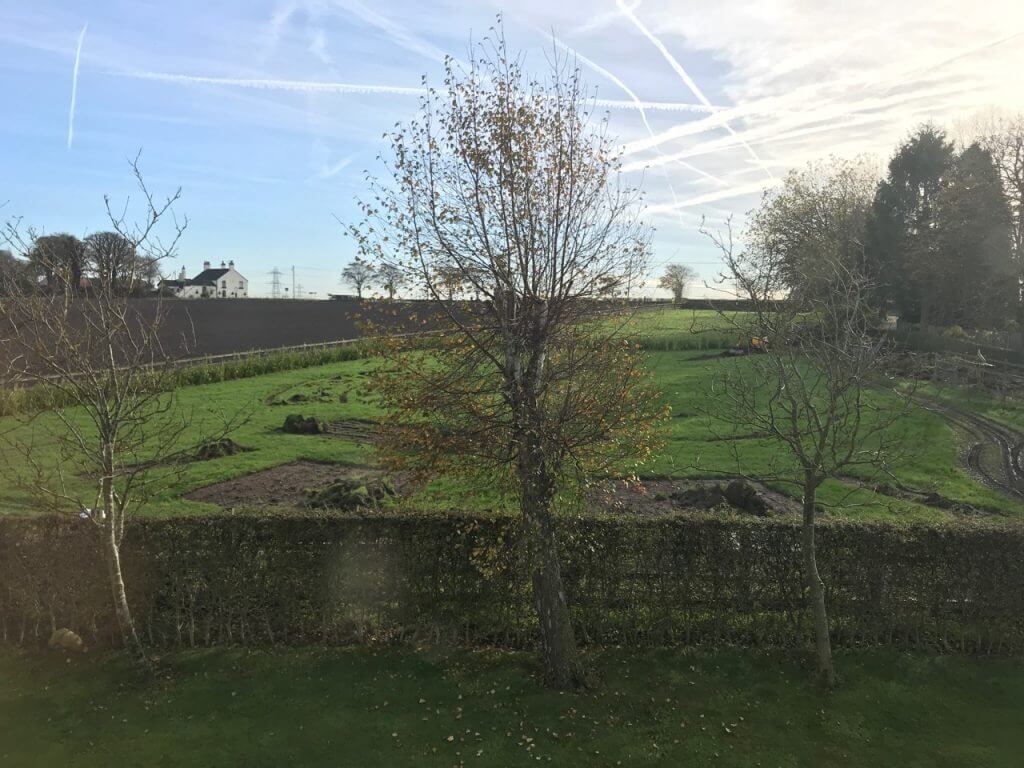 Turf lifted from a garden to level and relay the lawn