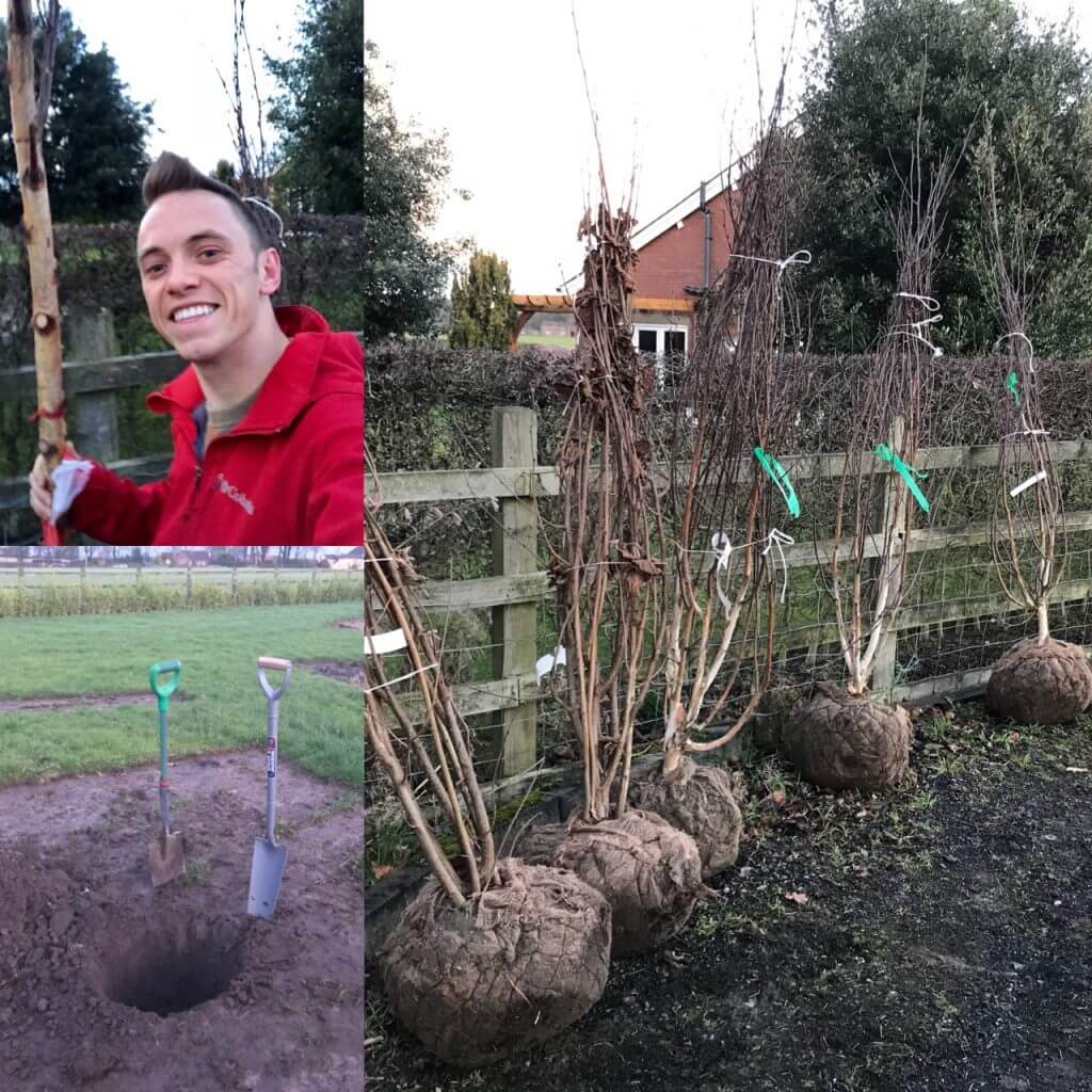 Garden Ninja with bare root trees in winter