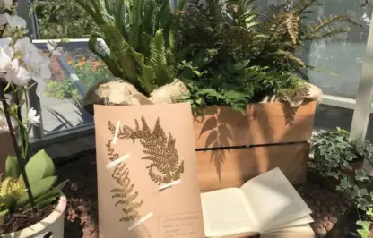 Herbarium on Lee Burkhills award winning show garden