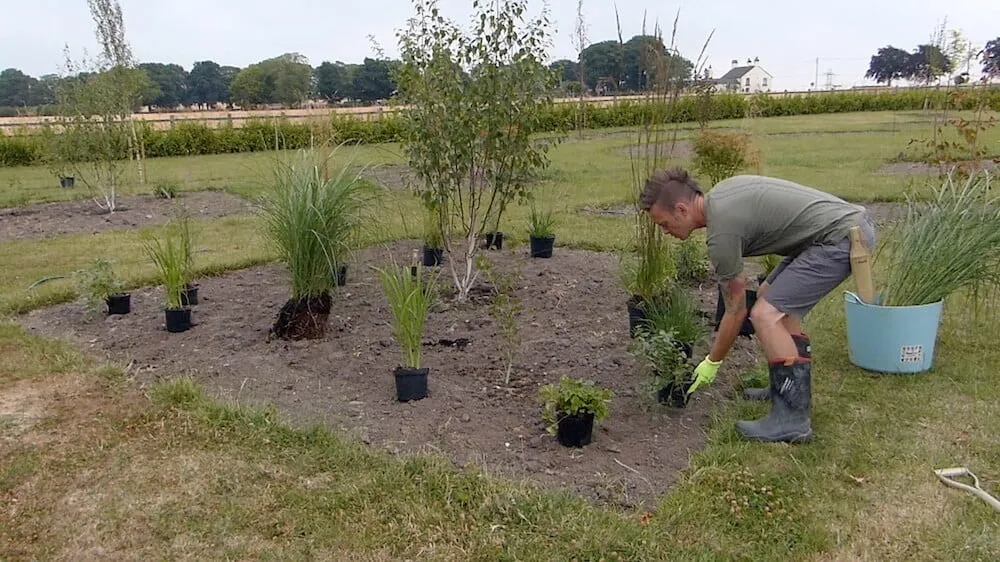 Plant spacing for a border