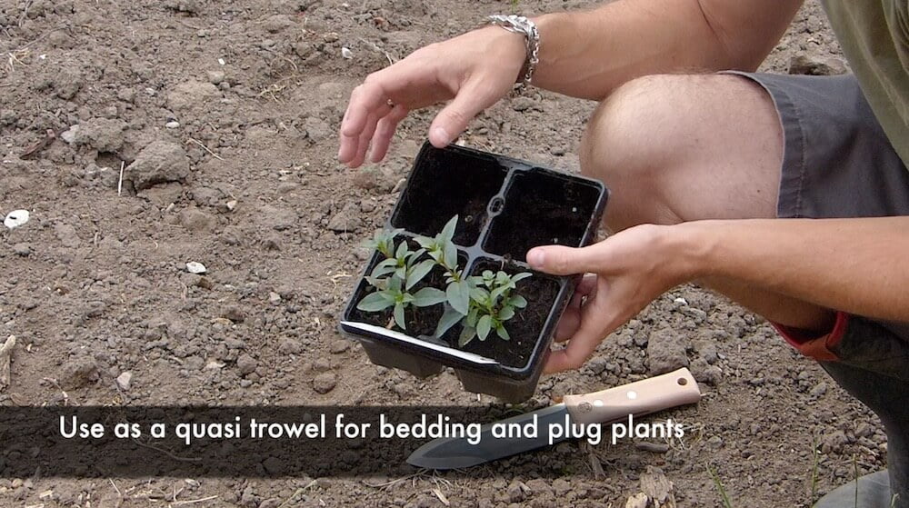 Garden Ninja using a hori hori gardening knife for planting