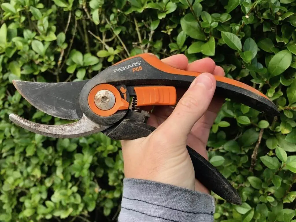 Bypass secateurs in a hand