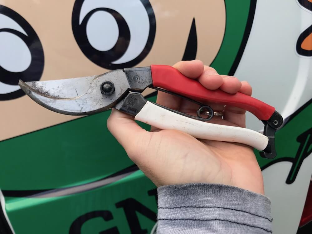 Garden Ninja holding Niwaki secateurs