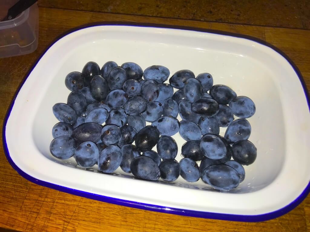 Damsons in a metal oven tray ready for stoning