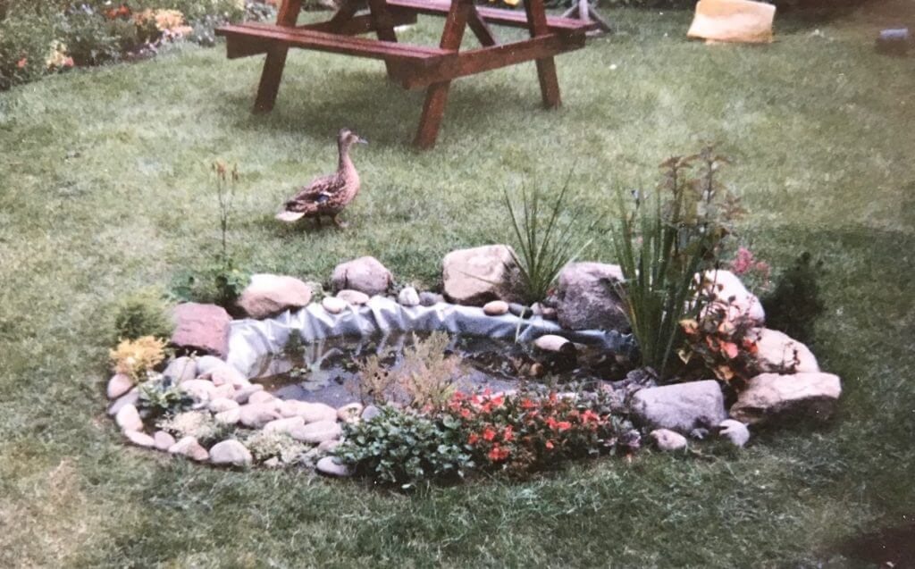 Garden Ninjas first pond he built as a child