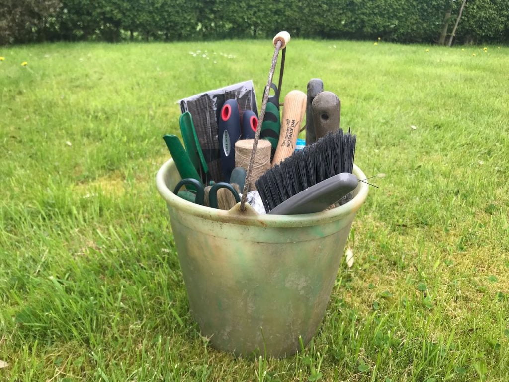 A garden bucking for rose prunings