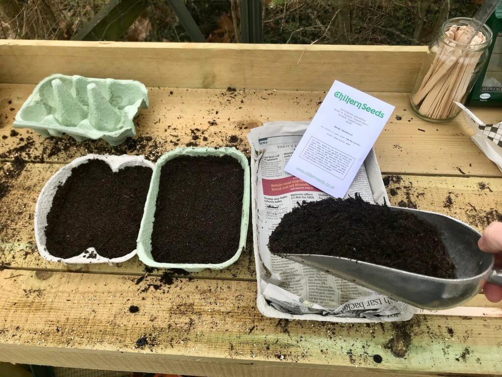 Seedlings growing in reused egg box, tin cans and toilet roll