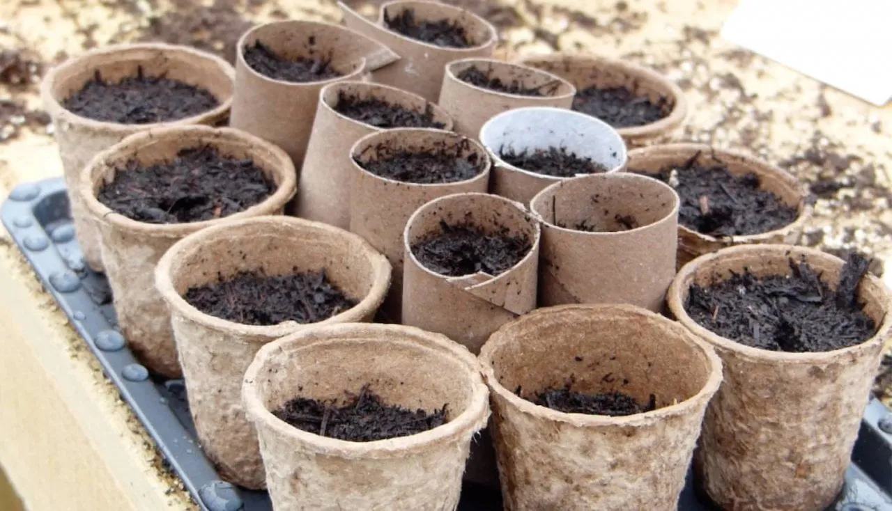 Plant pots made of paper laid out by garden ninja