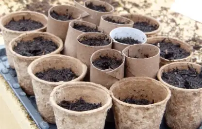 Plant pots made of paper laid out by garden ninja