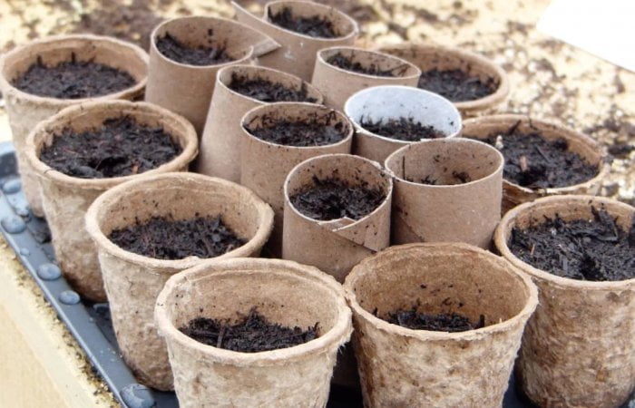Plant pots made of paper laid out by garden ninja