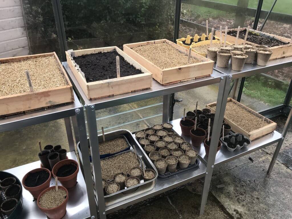 A mix of recycled seed trays at Garden Ninjas greenhouse
