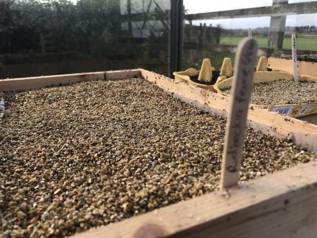 Plastic free seedlings in Garden Ninjas greenhouse