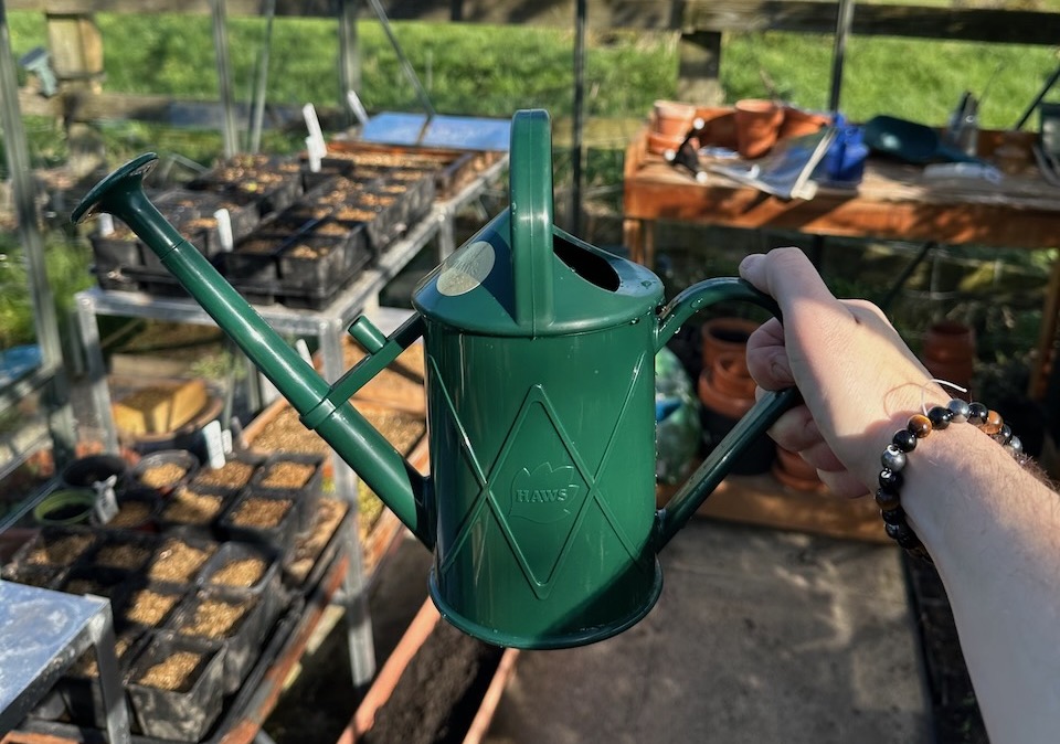 A fine rose watering can