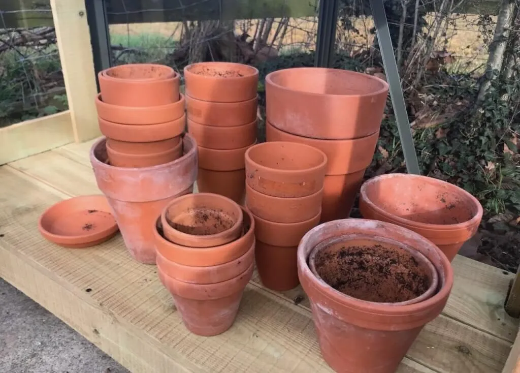 A stack of terracotta pots in garden ninjas greenhouse