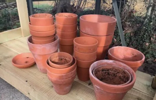 A stack of terracotta pots in garden ninjas greenhouse
