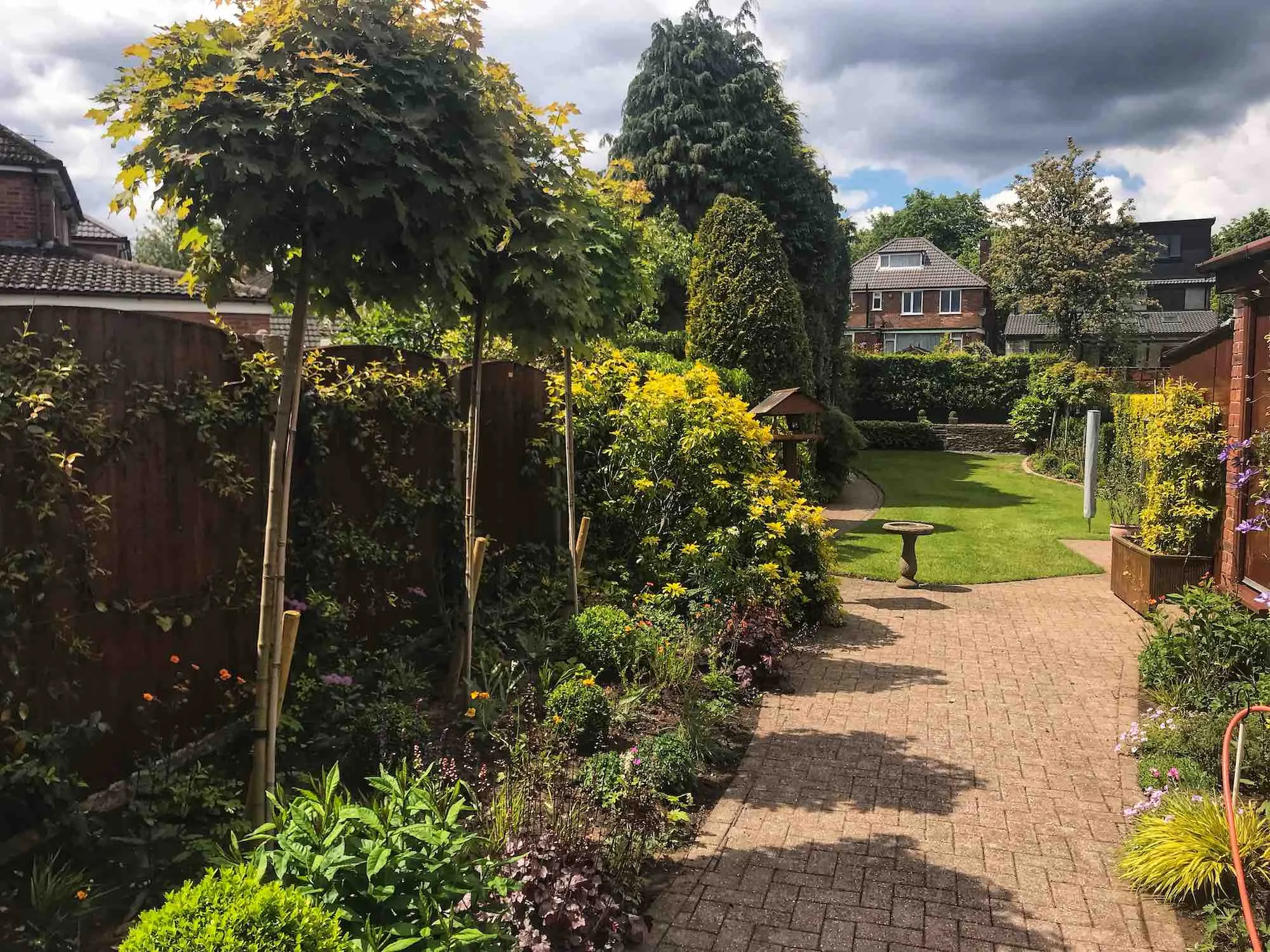 Increasing Privacy in your Garden with Planting Garden Ninja Lee