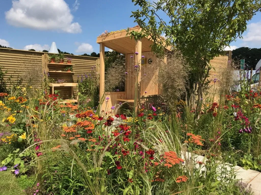 A hot summer garden at RHS Tatton