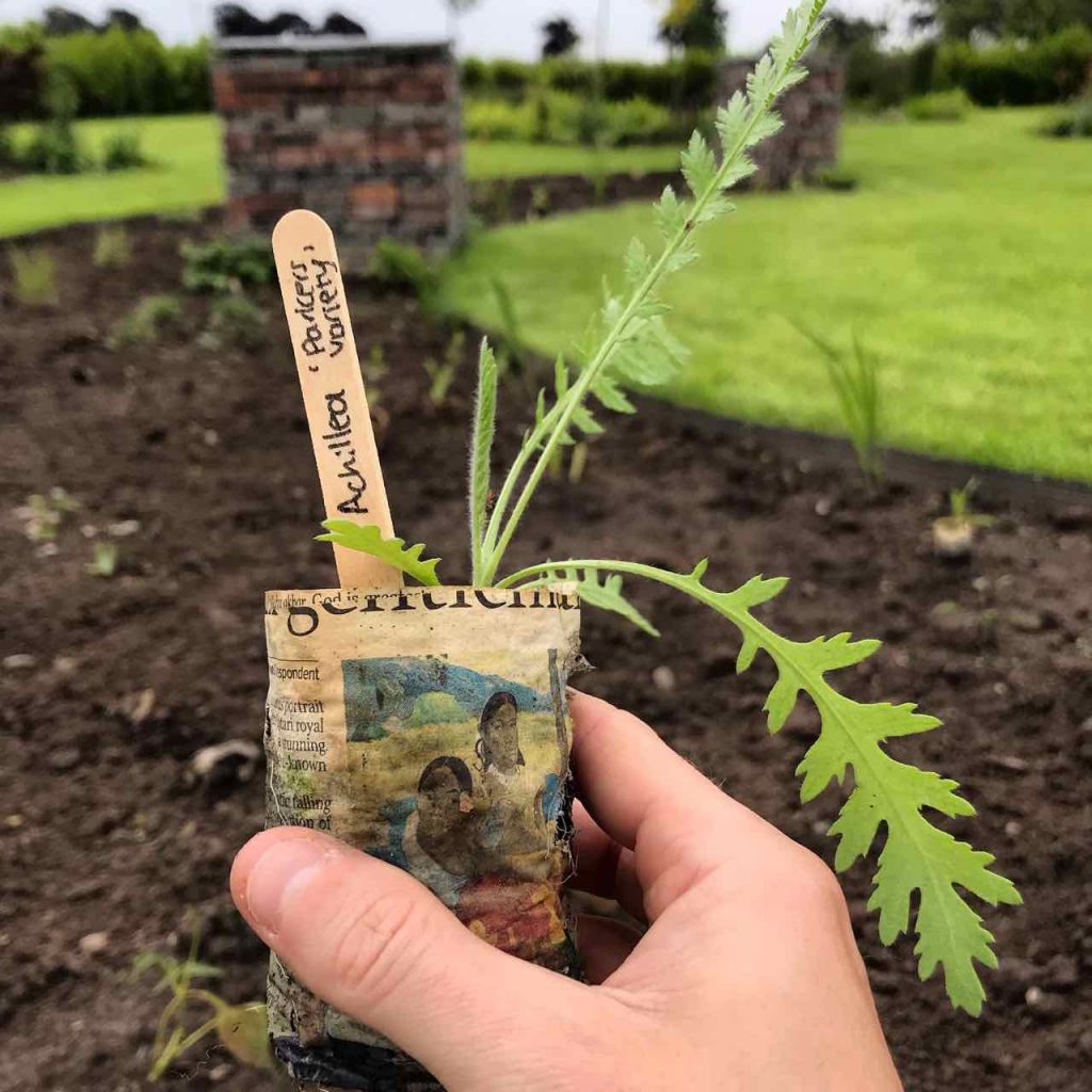 recycled paper pots in a hand