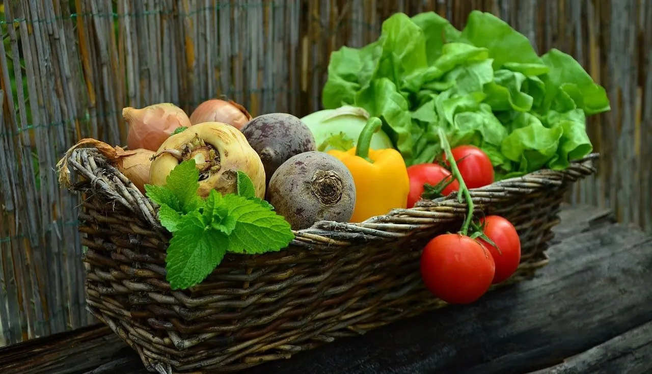 A basket full of vegetables