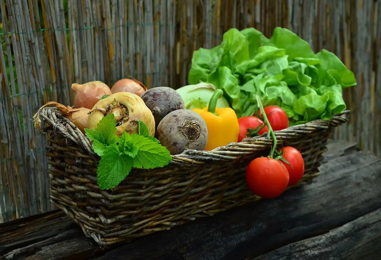 A basket full of freshly harvested home-grown vegetables
