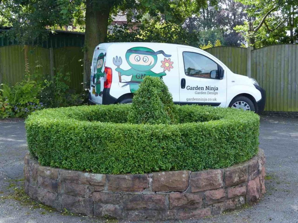 Clipped box hedging and topiary