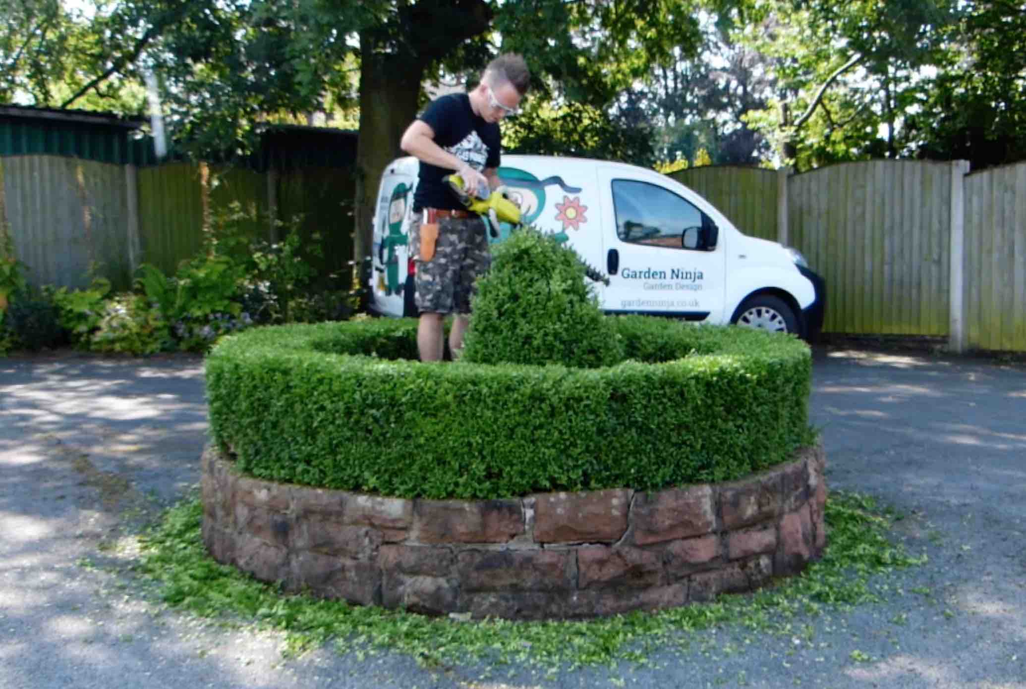 Garden Ninja clipping a hedge