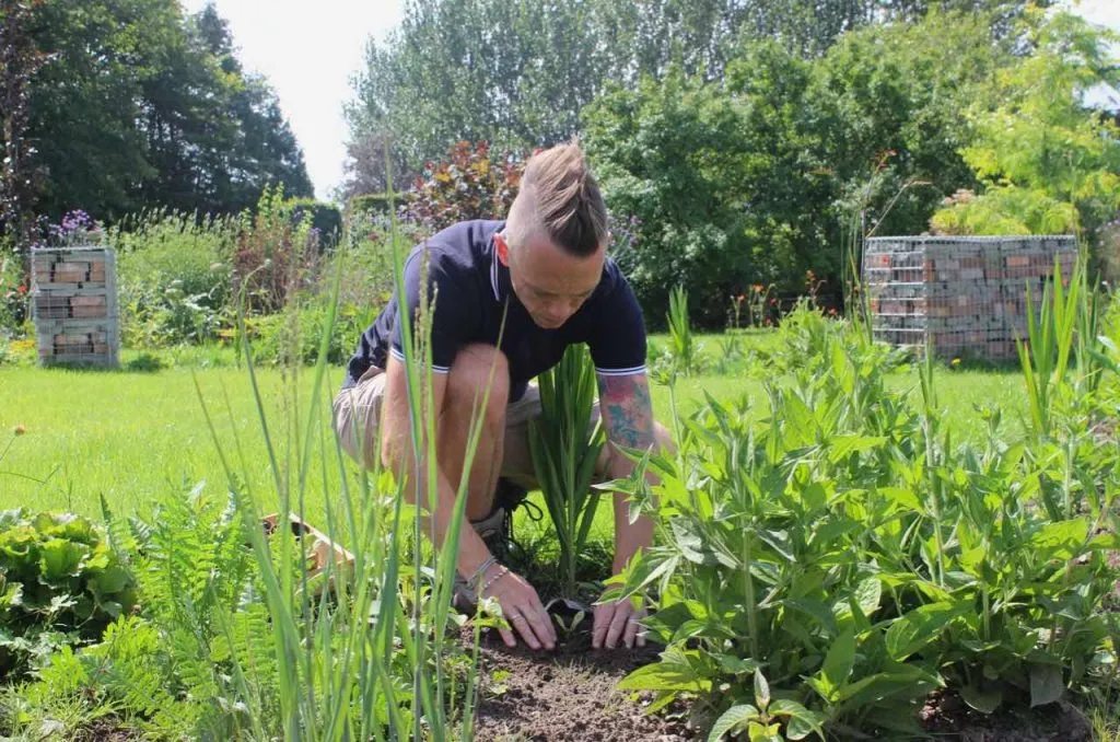 Garden Ninja plants up the exploding atom garden