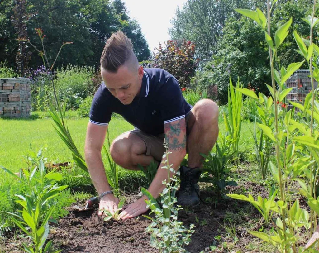 Garden ninja Lee Burkhill planting a border with seedlings
