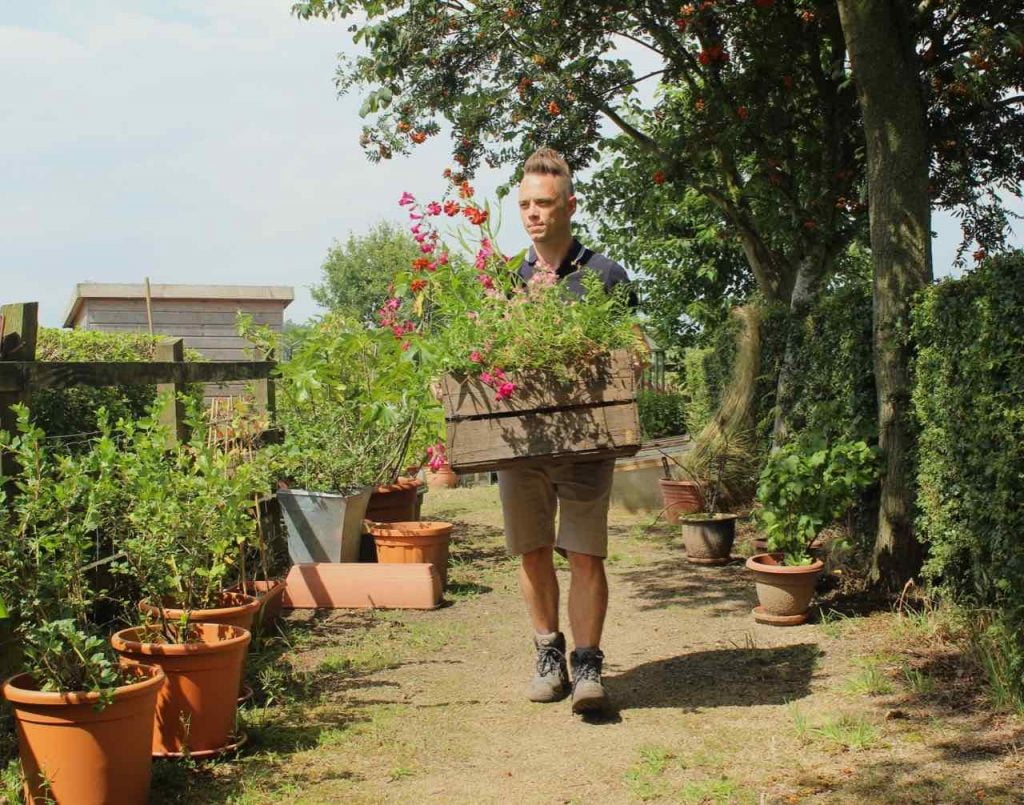 Garden Ninja carrying a crate of plants